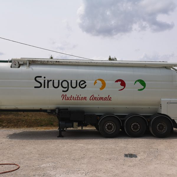 IMG_20190718_142941_resized_20221025_092120272