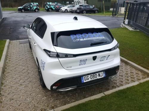 308 PROSOL TECHNOLOGIE