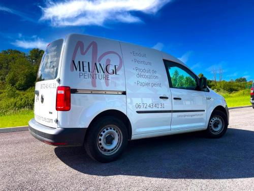 Caddy Volkswagen pour Melange Peinture